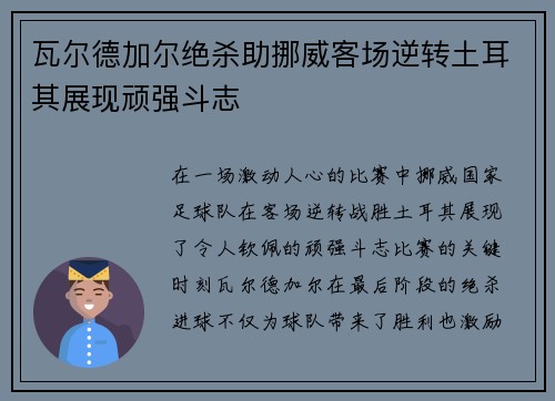 瓦尔德加尔绝杀助挪威客场逆转土耳其展现顽强斗志