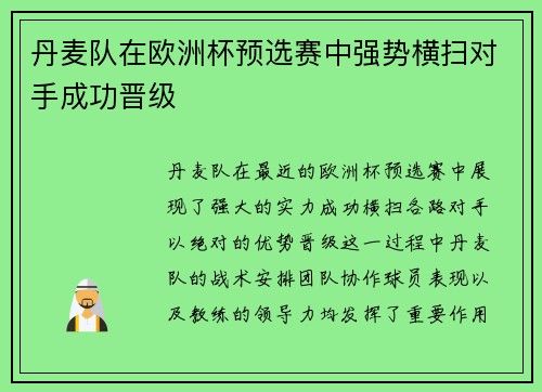 丹麦队在欧洲杯预选赛中强势横扫对手成功晋级