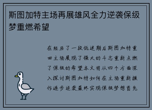 斯图加特主场再展雄风全力逆袭保级梦重燃希望