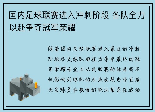 国内足球联赛进入冲刺阶段 各队全力以赴争夺冠军荣耀