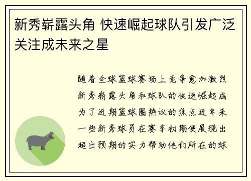 新秀崭露头角 快速崛起球队引发广泛关注成未来之星