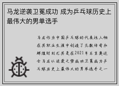 马龙逆袭卫冕成功 成为乒乓球历史上最伟大的男单选手